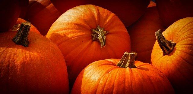 pumpkins-3726919_640